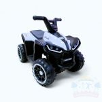 سيارة ركوب شحن كهرباء